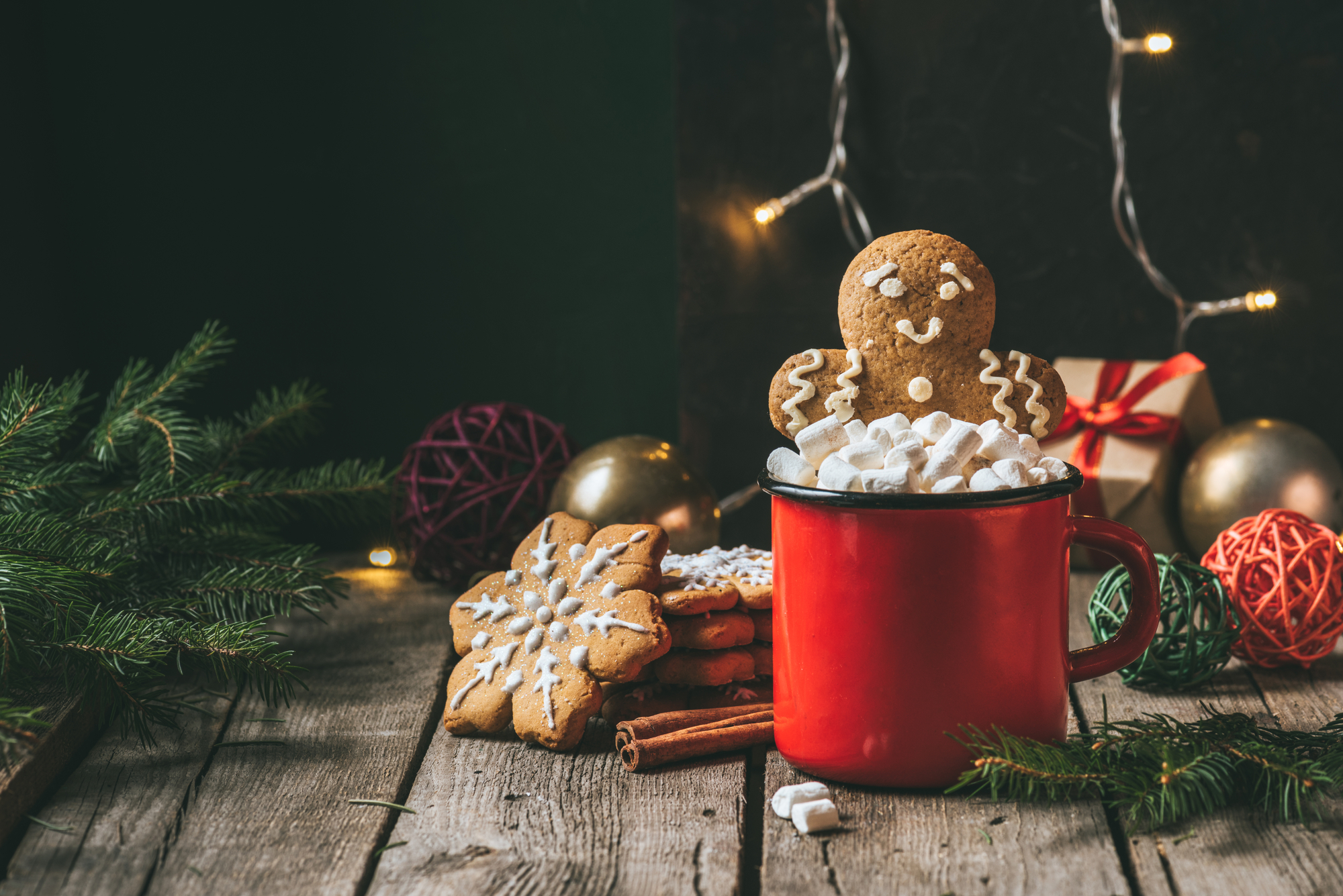 Holiday Nutrition Plans